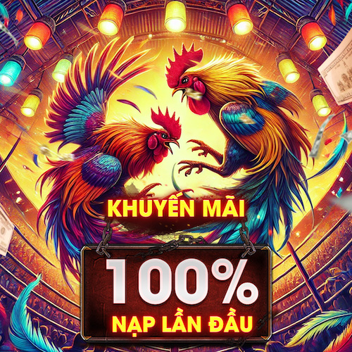 khuyến mãi 100%