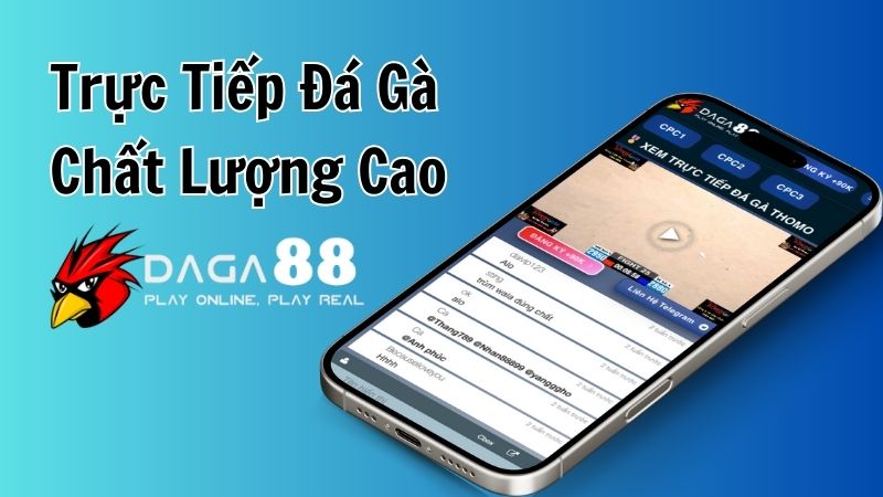 Trang Đá Gà 88 chính thức có trực tiếp đá gà chất lương cao